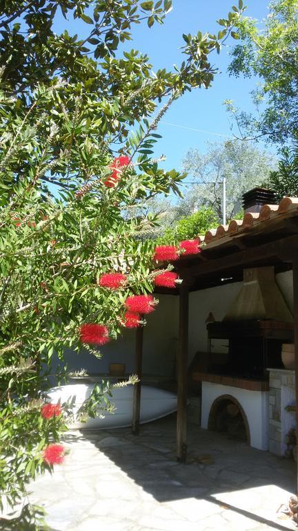 Stelios Seaside House Villa Lefokastro Bagian luar foto